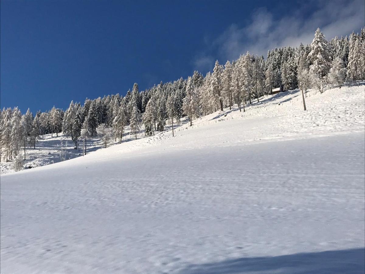 Wohlfühlpension Kreischberg/Egger-Feiel Sankt Georgen ob Murau Exterior foto